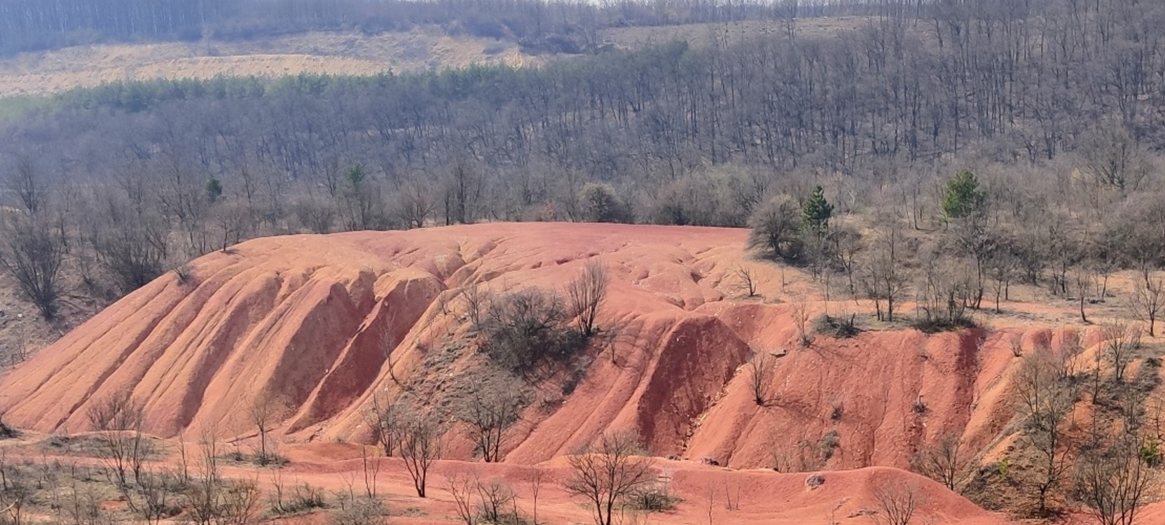 box 10 banner box 10 banner