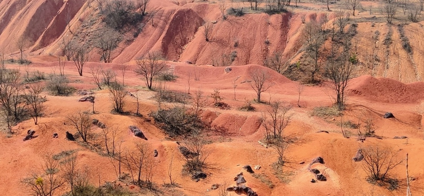 box 9 banner box 9 banner